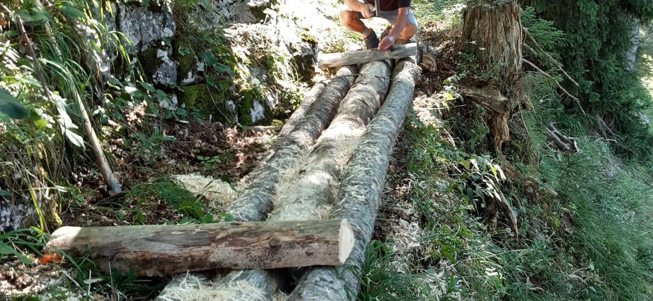 Stegneubau am Moosensteig | © DAV Teisendorf