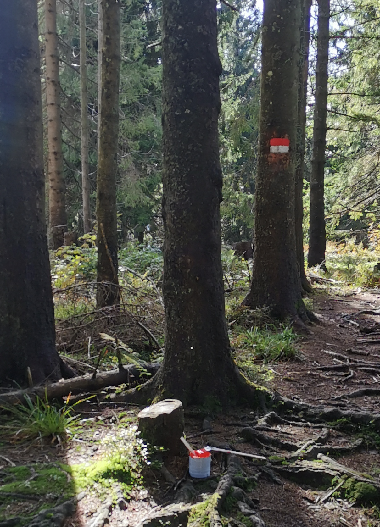 Markierungsarbeiten an der Teisenberg-Schneid | © DAV Teisendorf