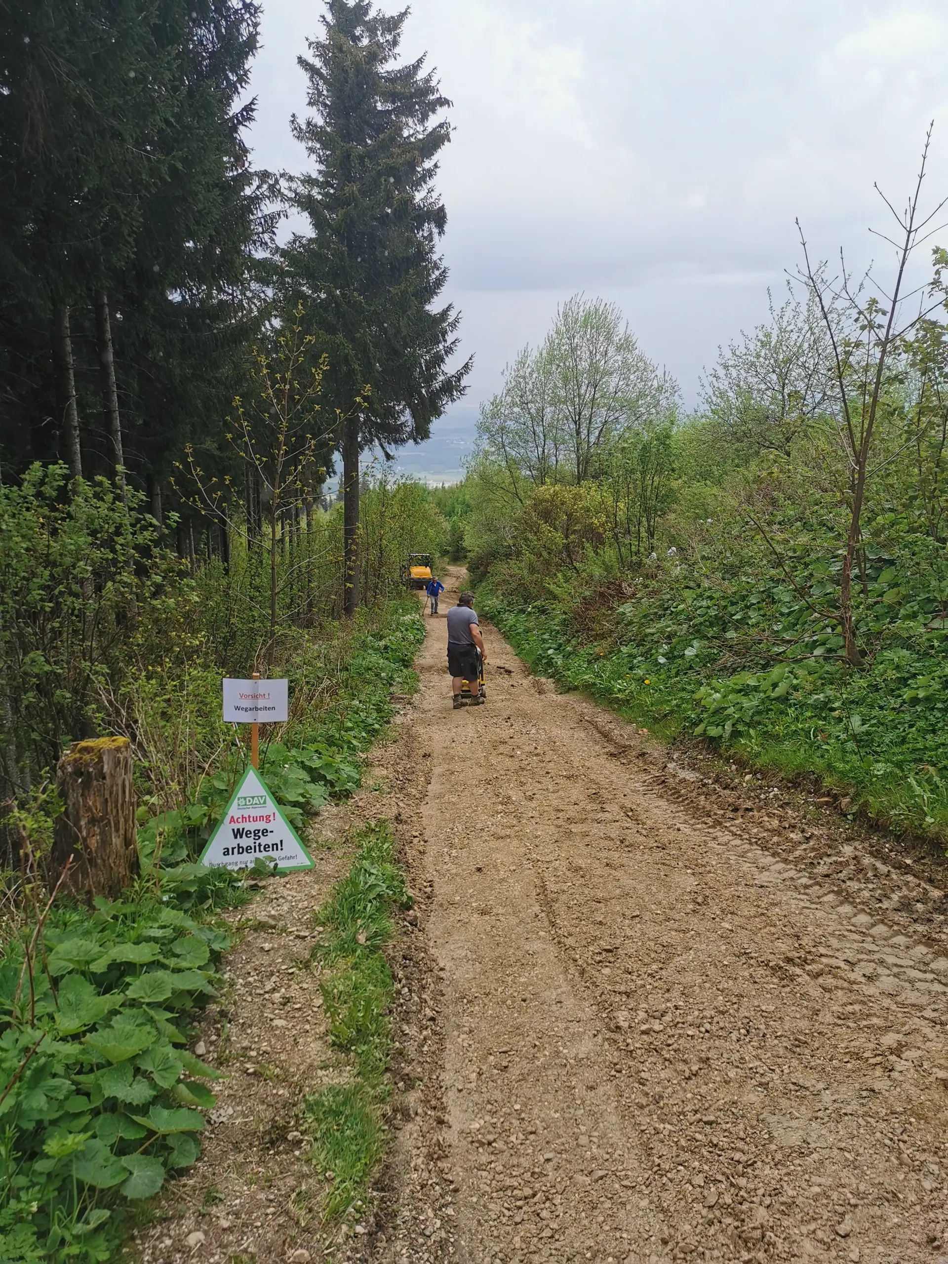 Wegeinstandhaltung Seiberstadt Weg am Teisenberg | © DAV Teisendorf