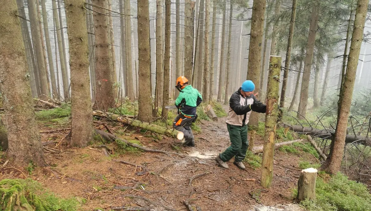 Wegesanierung am Feilenreiter Weg (Teisenberg) | © DAV Teisendorf