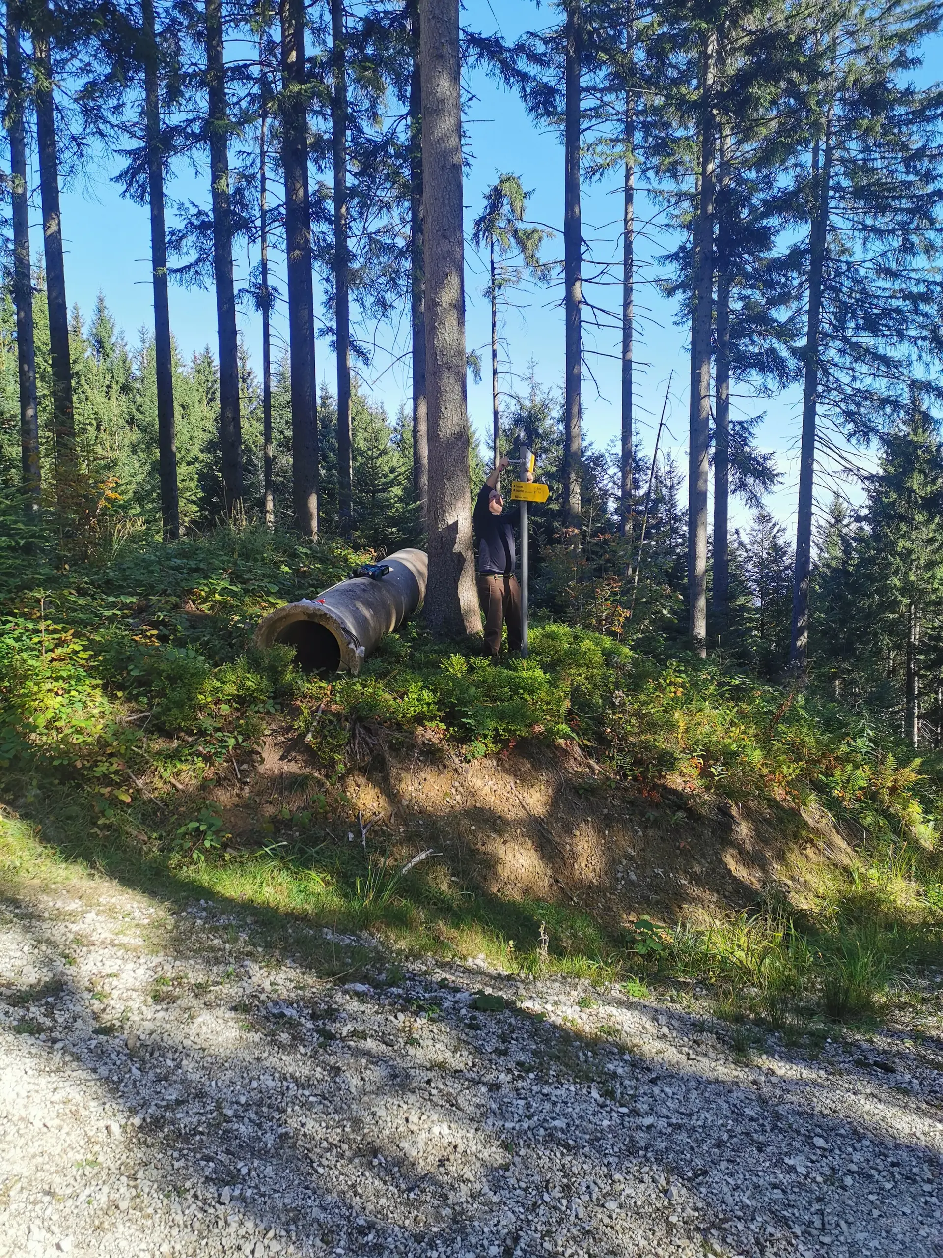neuer Wegweiser am Feilenreiter Weg (Teisenberg) | © DAV Teisendorf