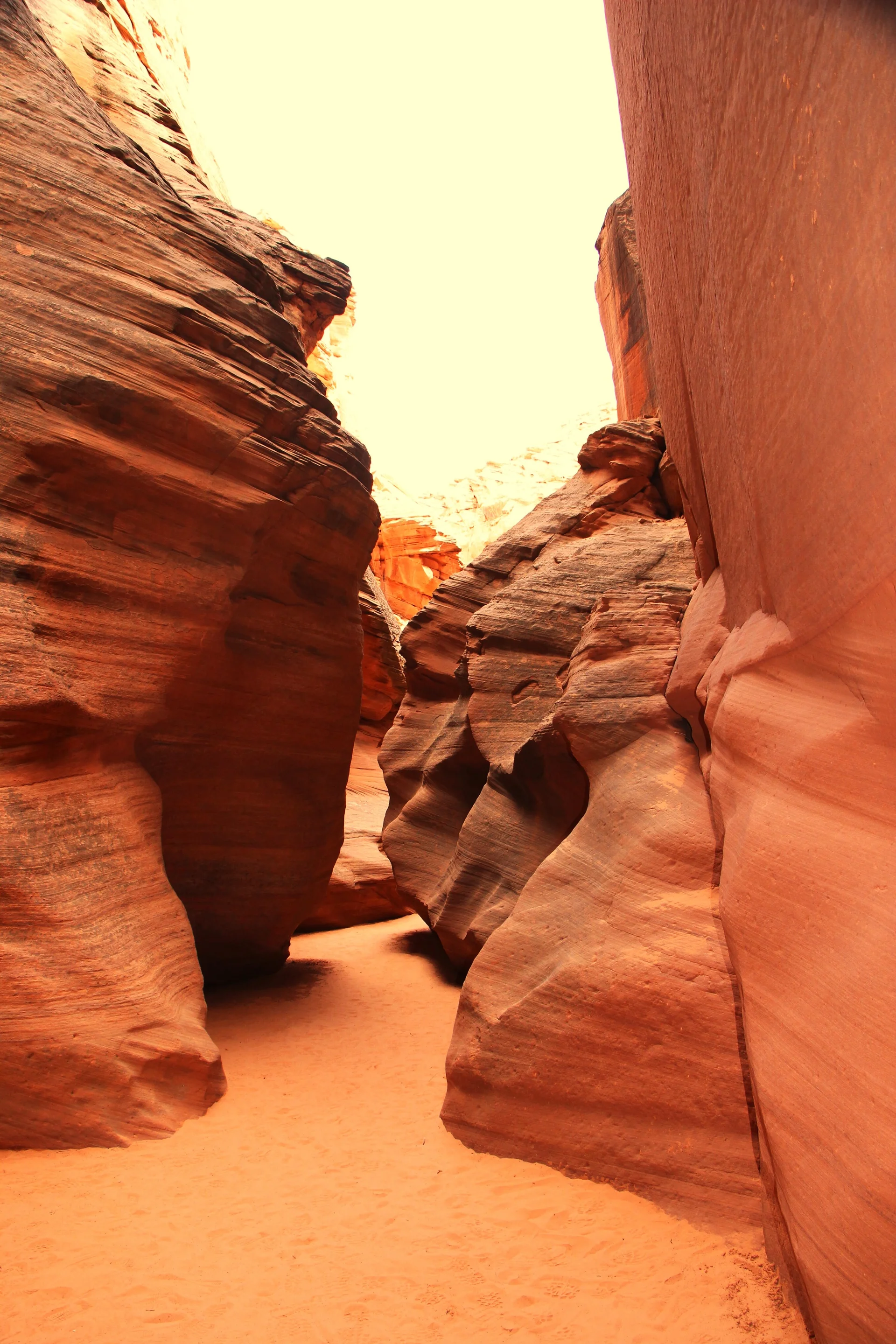 © DAV Teisendorf - OG Waging