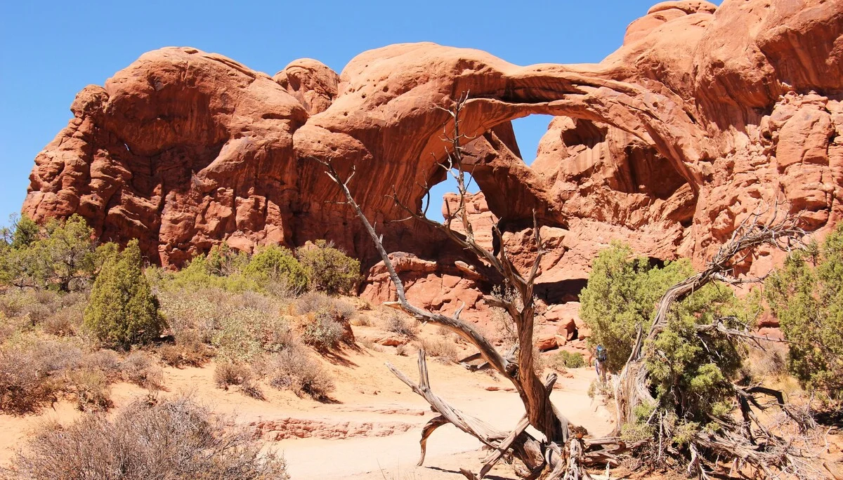 © DAV Teisendorf - OG Waging