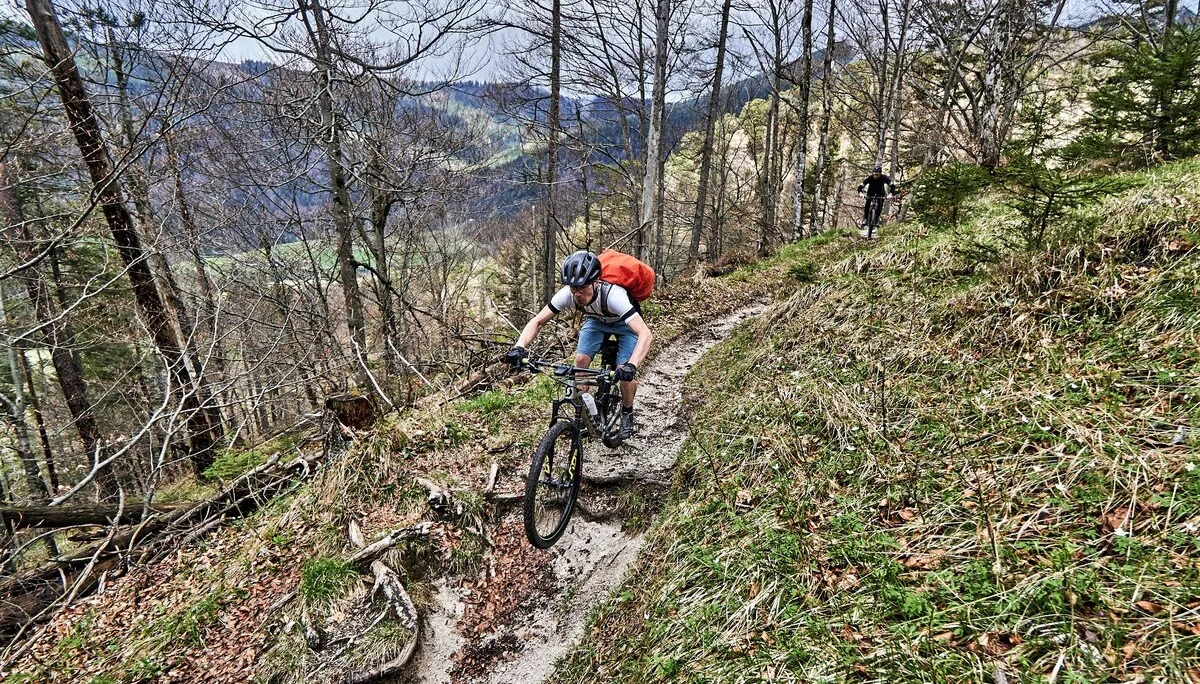 © Andi Hahnemann / Hermann Böhler