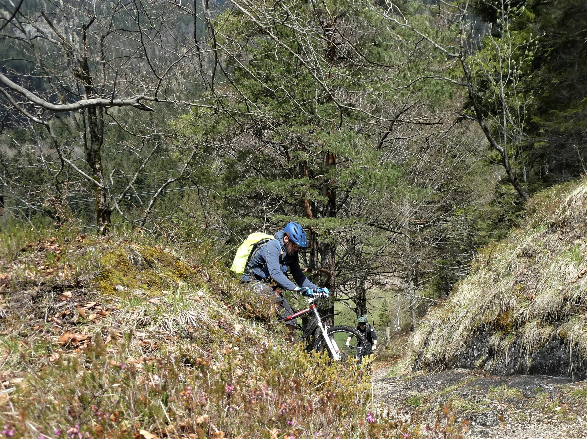 © Andi Hahnemann / Hermann Böhler