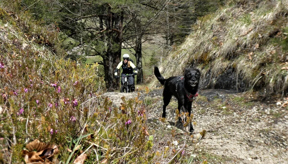 © Andi Hahnemann / Hermann Böhler