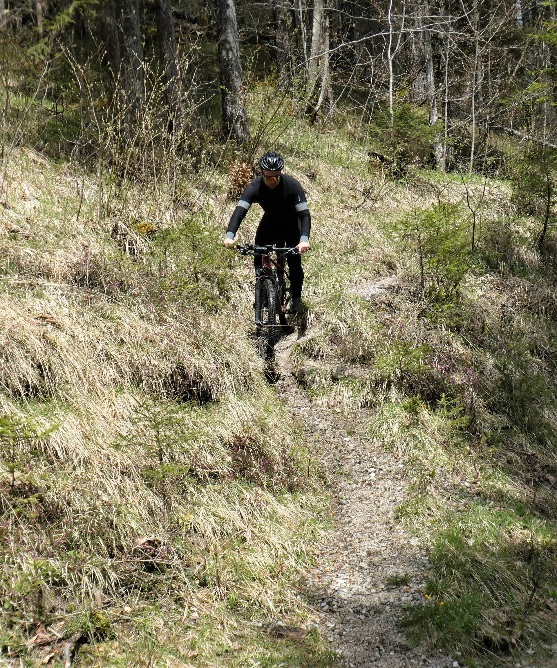 © Andi Hahnemann / Hermann Böhler