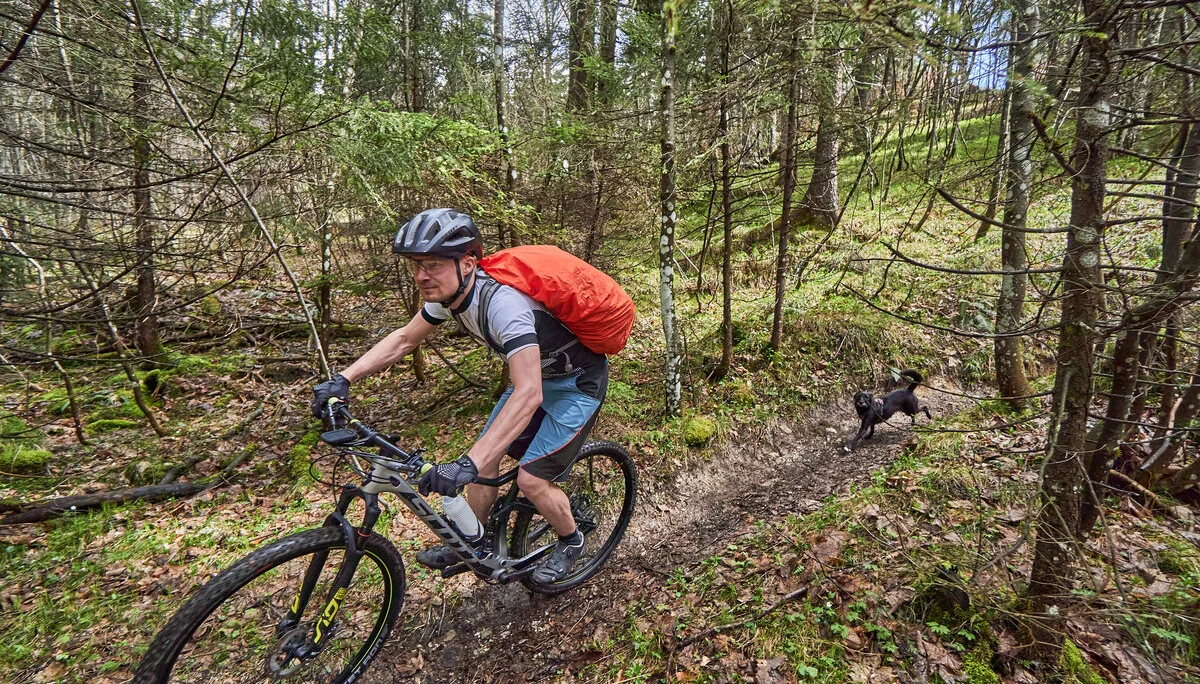 © Andi Hahnemann / Hermann Böhler