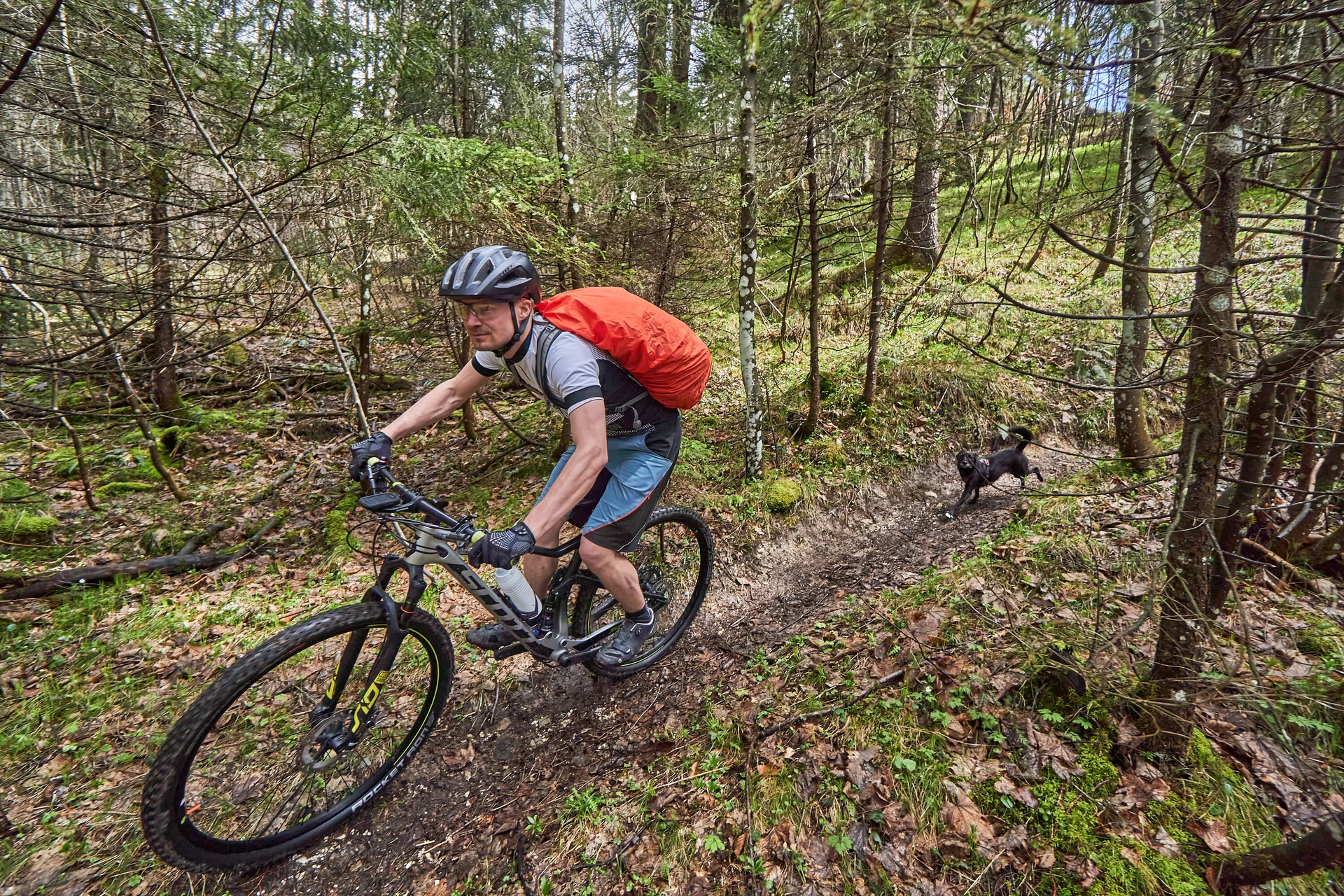 © Andi Hahnemann / Hermann Böhler