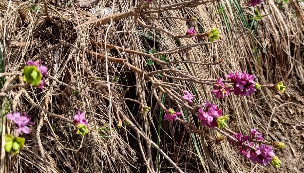 © DAV Teisendorf - OG Waging