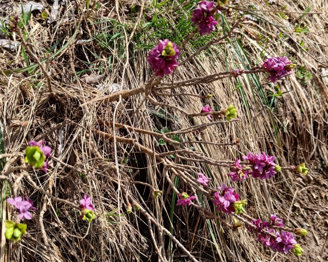 © DAV Teisendorf - OG Waging