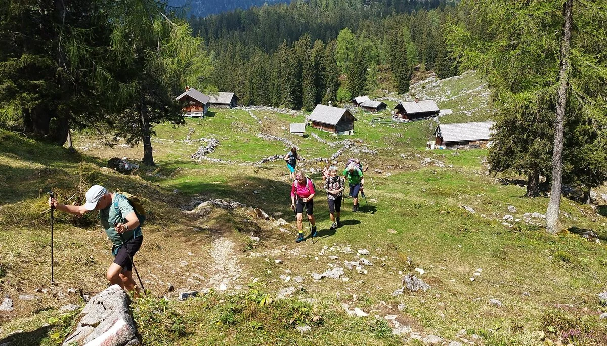 Bergwanderung zum Hoch Kalmberg | © DAV Teisendorf