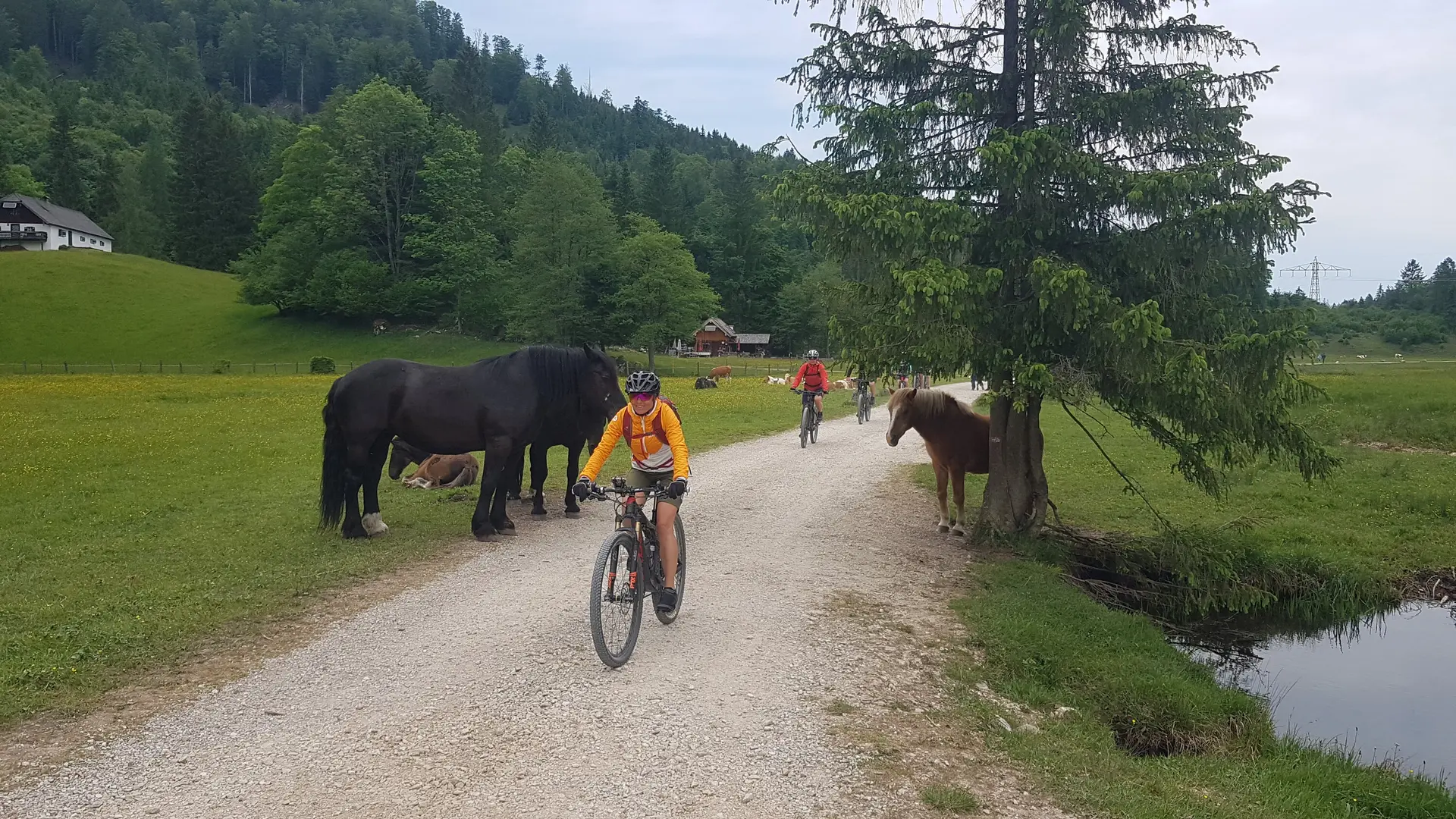 Mountainbiketour Wolfgangsee | © DAV Teisendorf