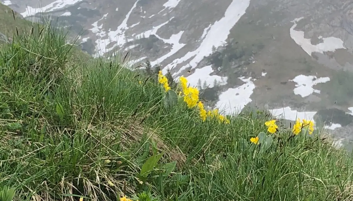 Bergtour Rotspielscheibe und Fagstein | © DAV Teisendorf