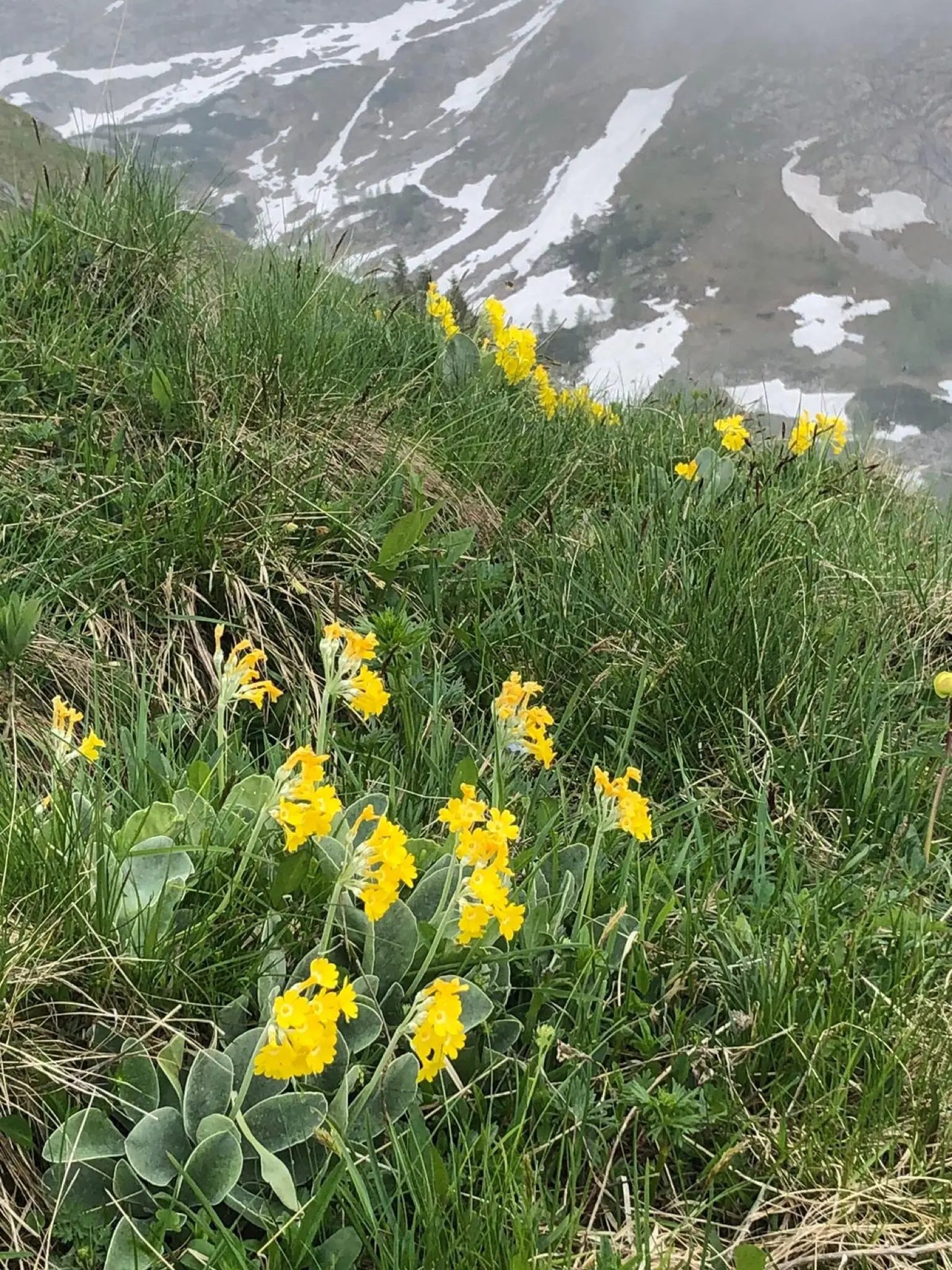 Bergtour Rotspielscheibe und Fagstein | © DAV Teisendorf