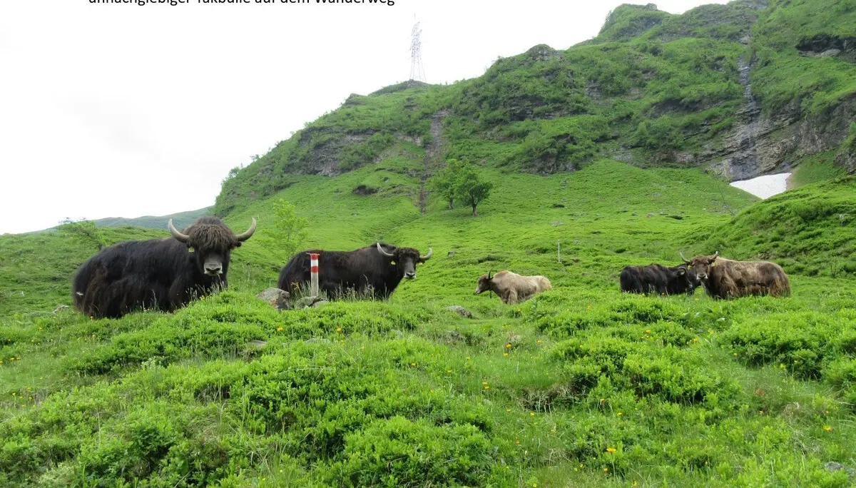 Bergwanderwoche | © DAV Teisendorf