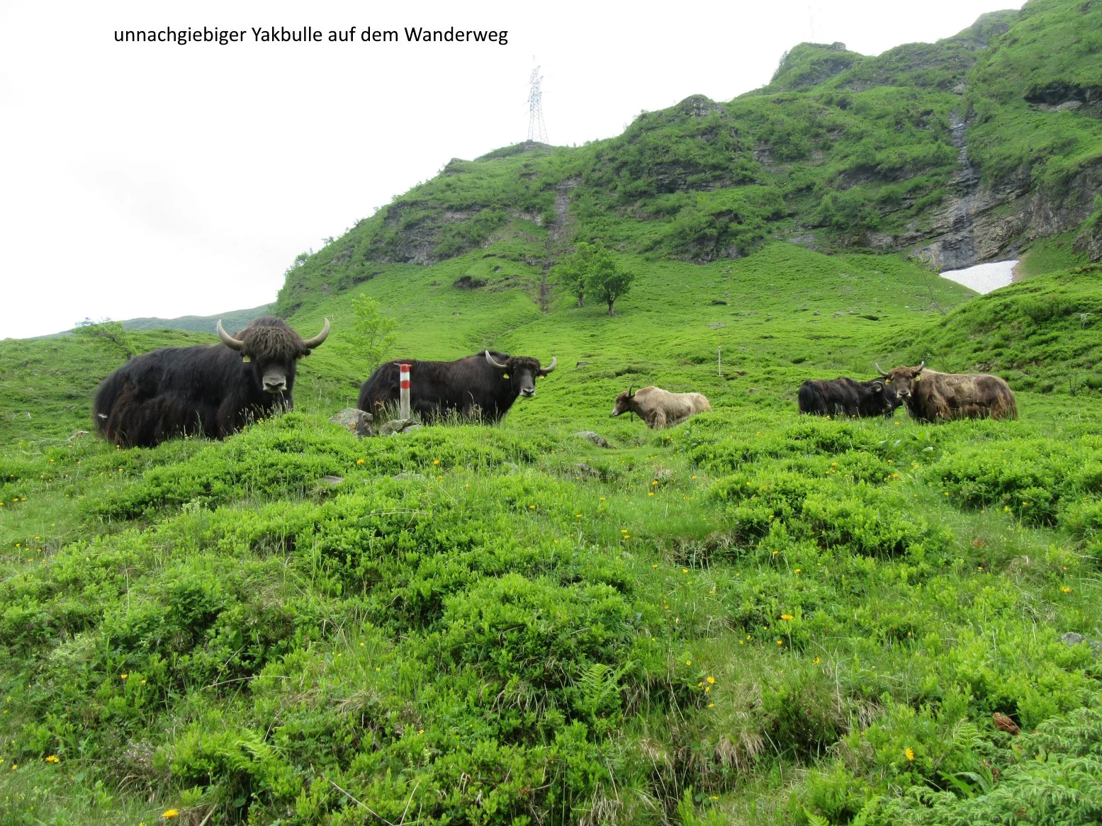 Bergwanderwoche | © DAV Teisendorf