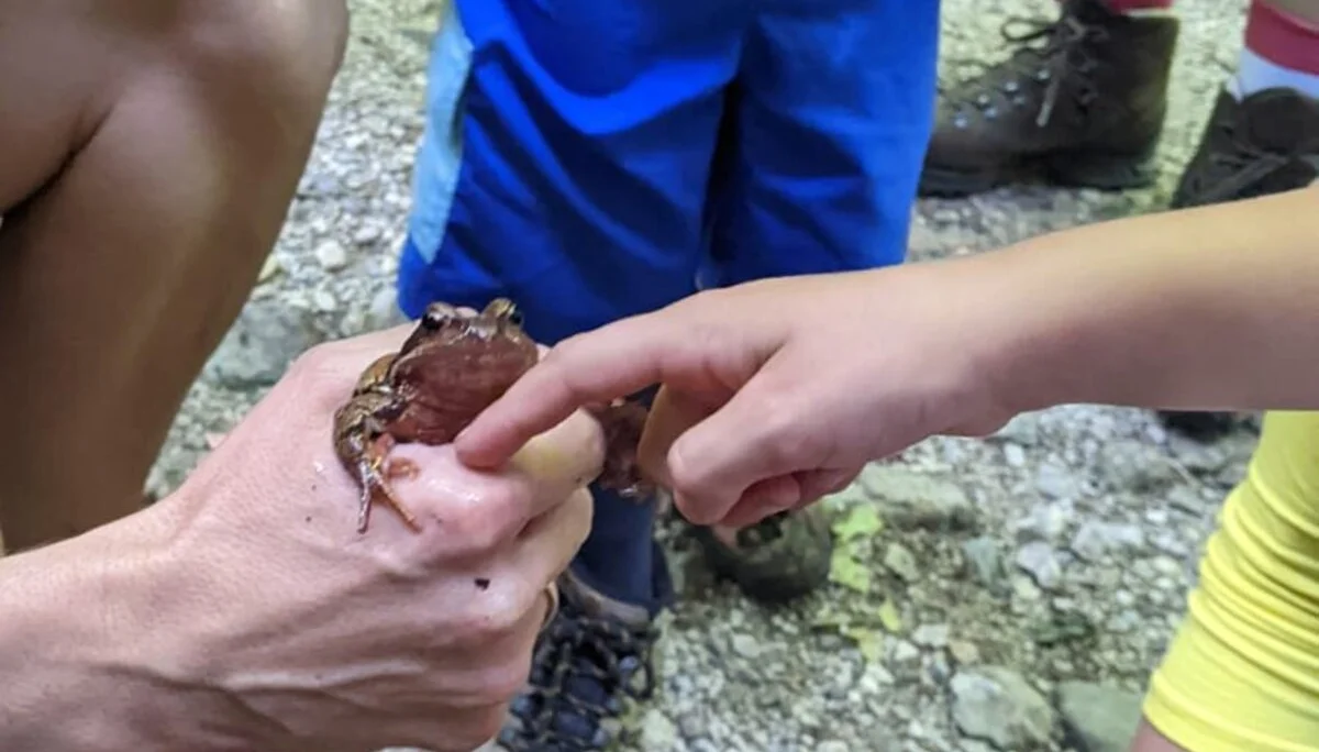 Kind-Kegel-Kraxe: Wanderung zur Hefteralm | © DAV Teisendorf