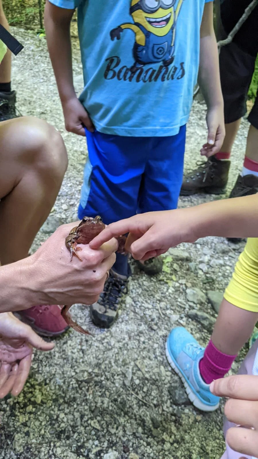 Kind-Kegel-Kraxe: Wanderung zur Hefteralm | © DAV Teisendorf
