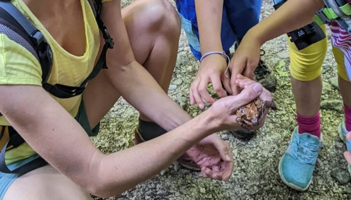 Kind-Kegel-Kraxe: Wanderung zur Hefteralm | © DAV Teisendorf