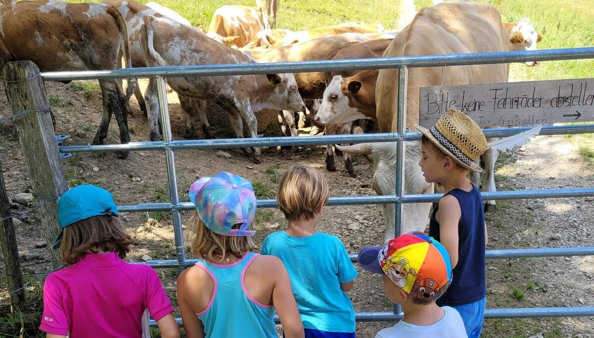 Kind-Kegel-Kraxe: Wanderung zur Hefteralm | © DAV Teisendorf