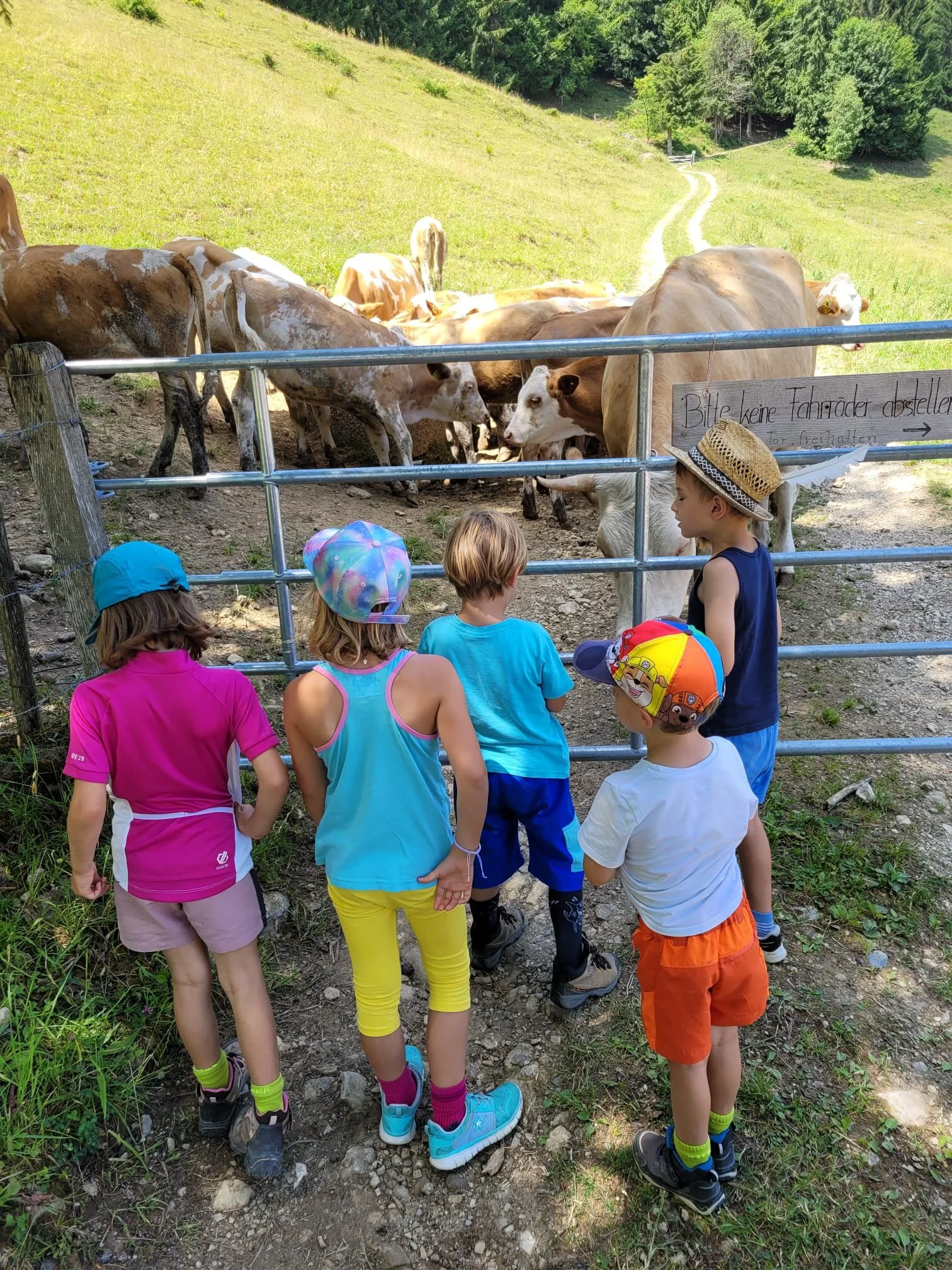 Kind-Kegel-Kraxe: Wanderung zur Hefteralm | © DAV Teisendorf