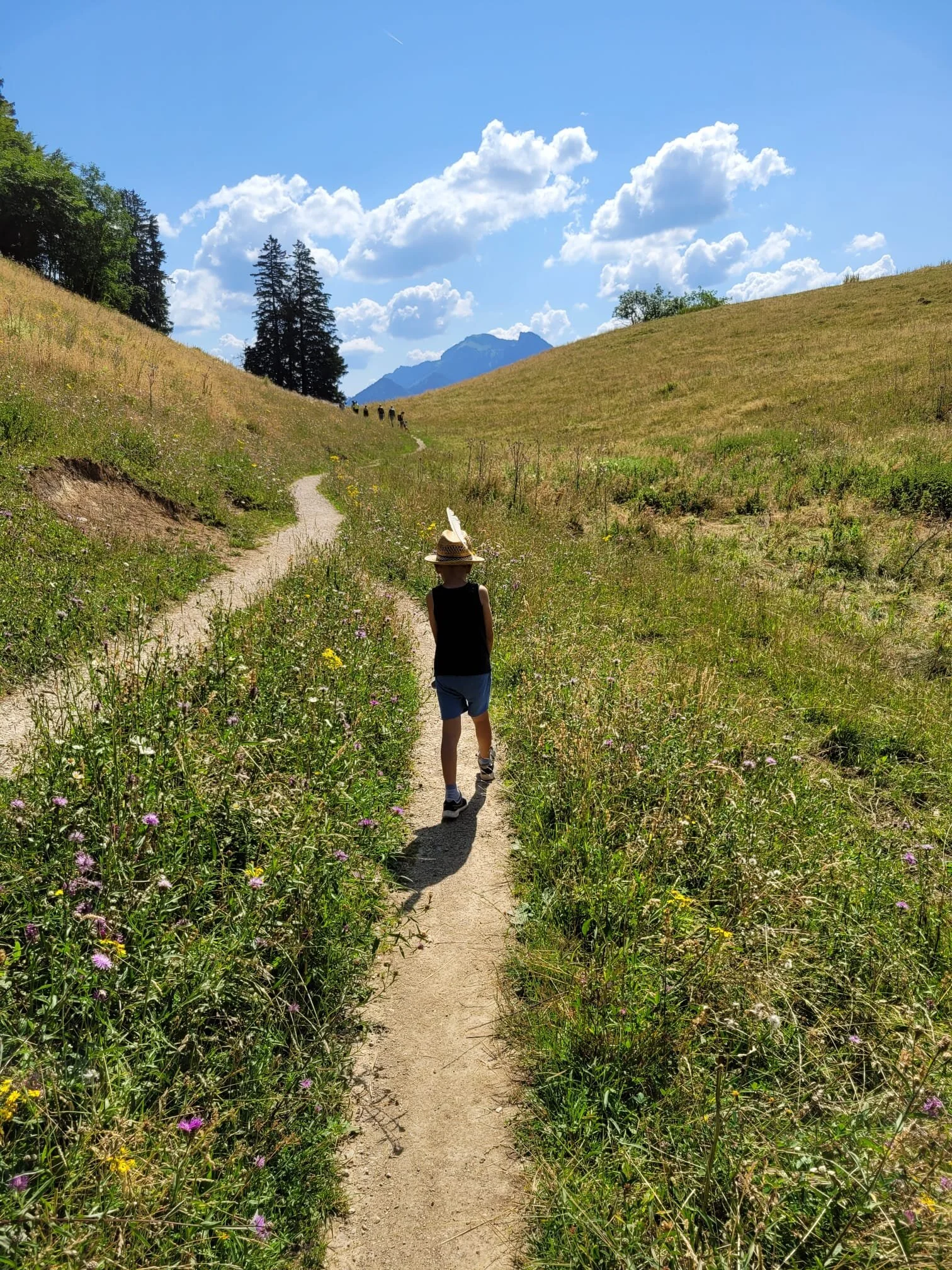 Kind-Kegel-Kraxe: Wanderung zur Hefteralm | © DAV Teisendorf