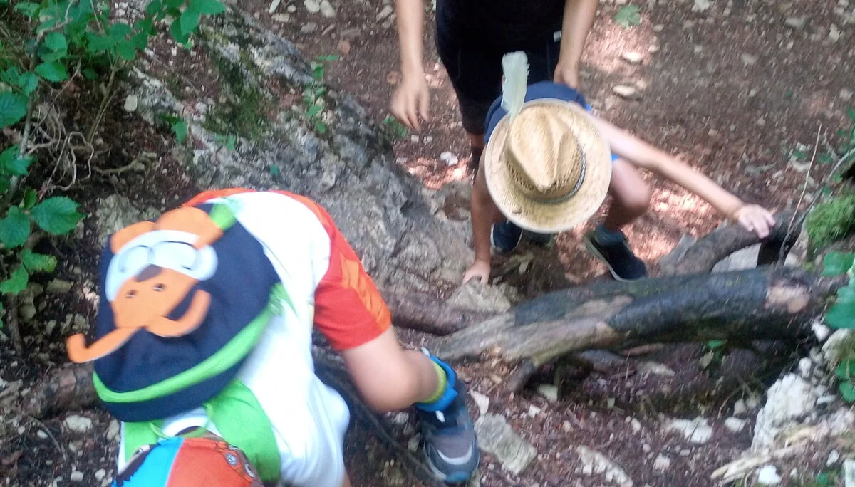 Kind-Kegel-Kraxe: Wanderung zur Hefteralm | © DAV Teisendorf