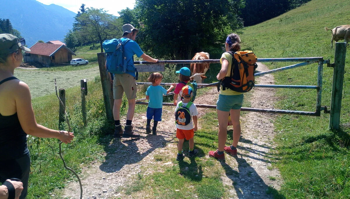 Kind-Kegel-Kraxe: Wanderung zur Hefteralm | © DAV Teisendorf
