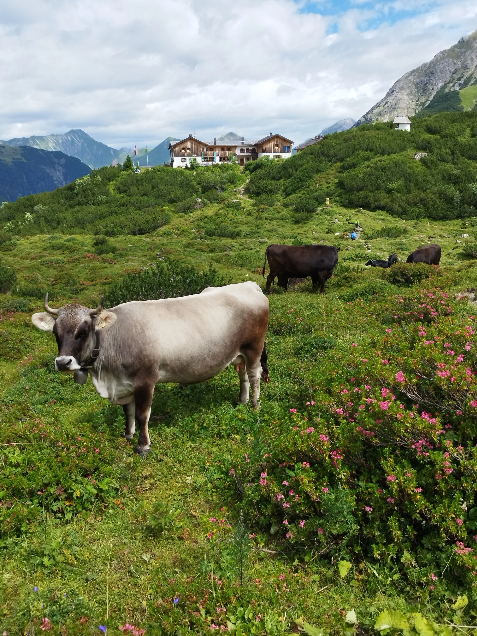 © DAV Teisendorf OG Waging