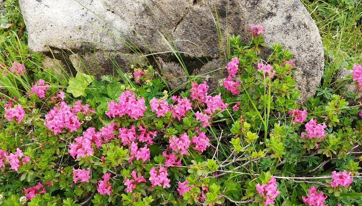 © DAV Teisendorf OG Waging