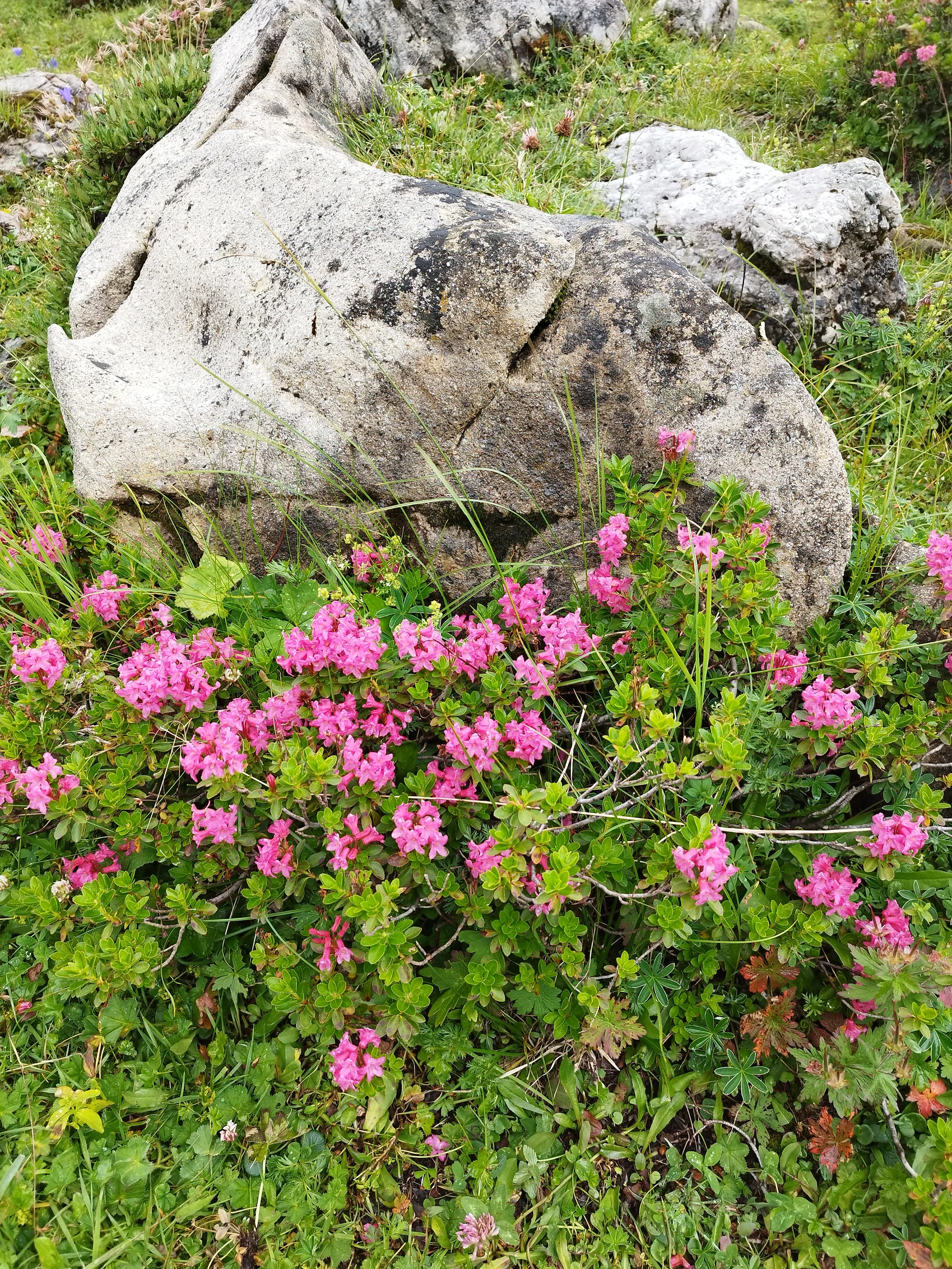 © DAV Teisendorf OG Waging