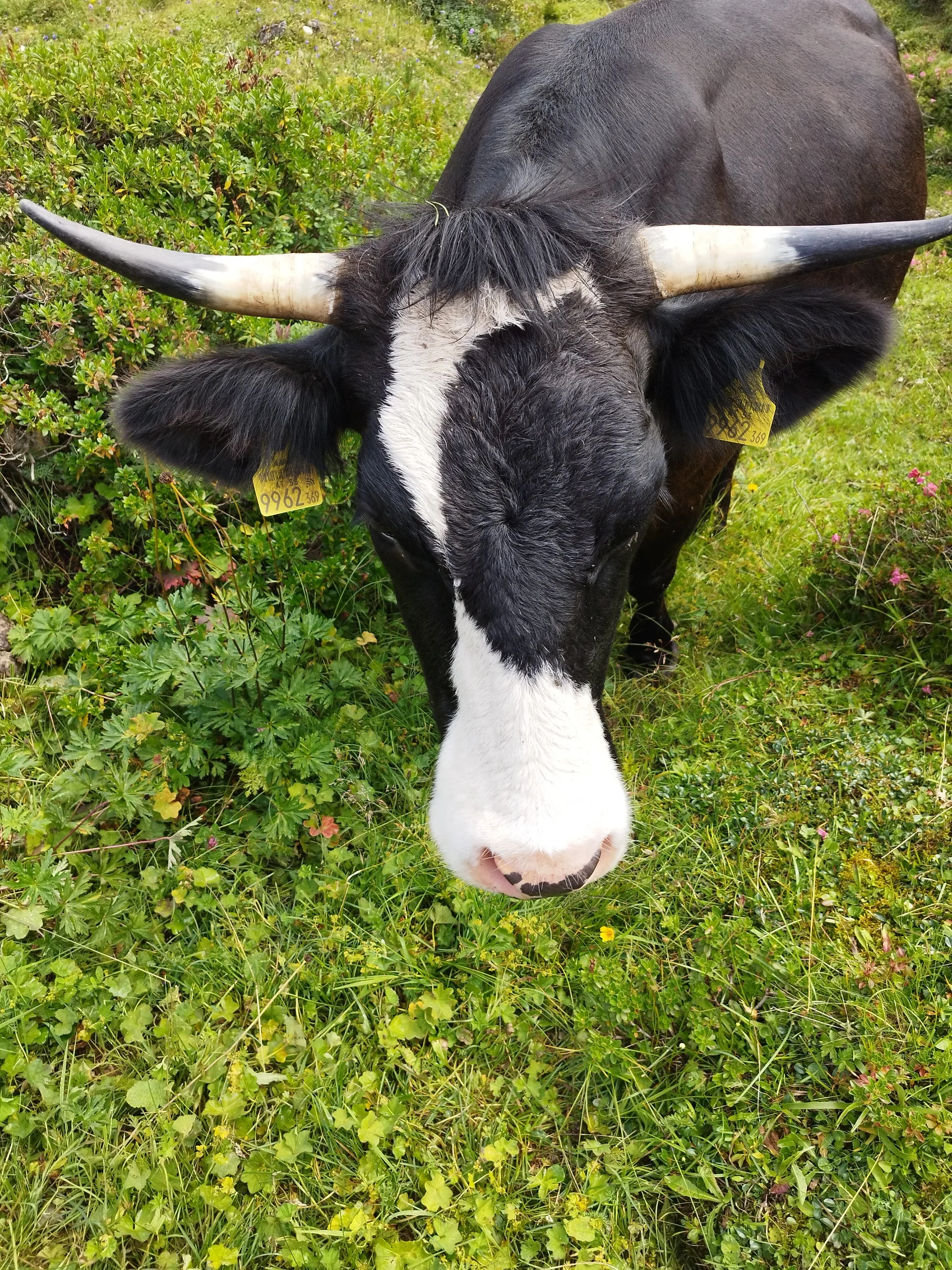 © DAV Teisendorf OG Waging