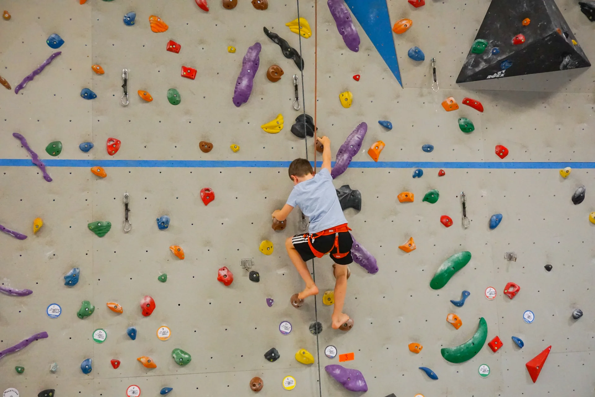 © DAV Teisendorf OG Waging - Farbiges Griff-Potpourri