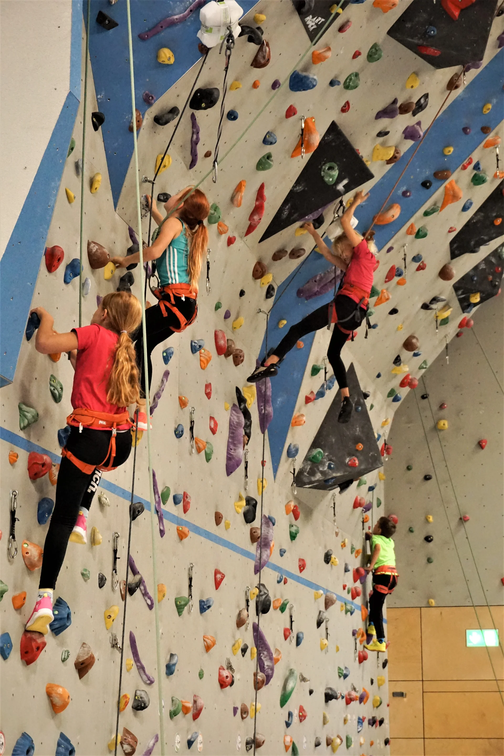 © DAV Teisendorf OG Waging - In Aktion