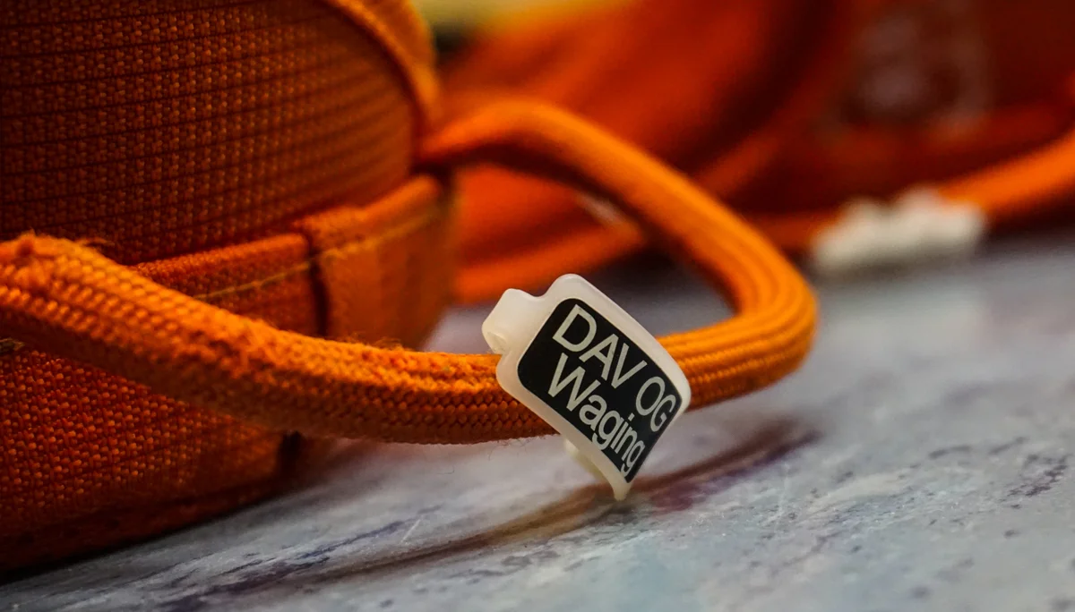 © DAV Teisendorf OG Waging - Klettergurt