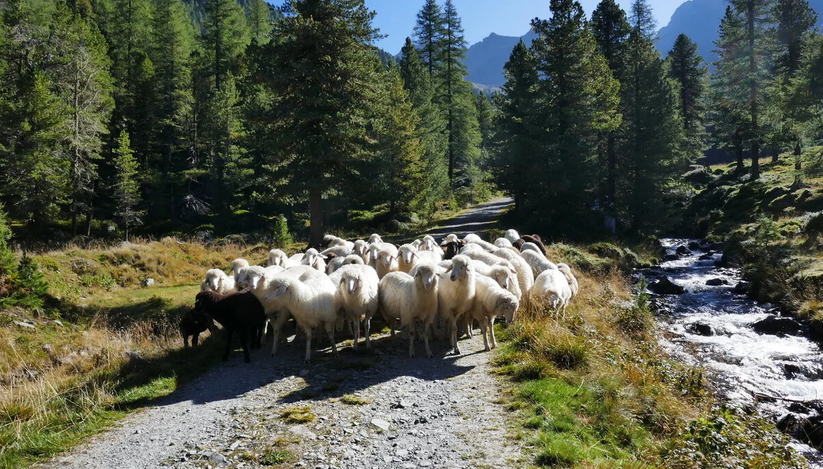 © DAV Teisendorf OG Waging -  Zustieg