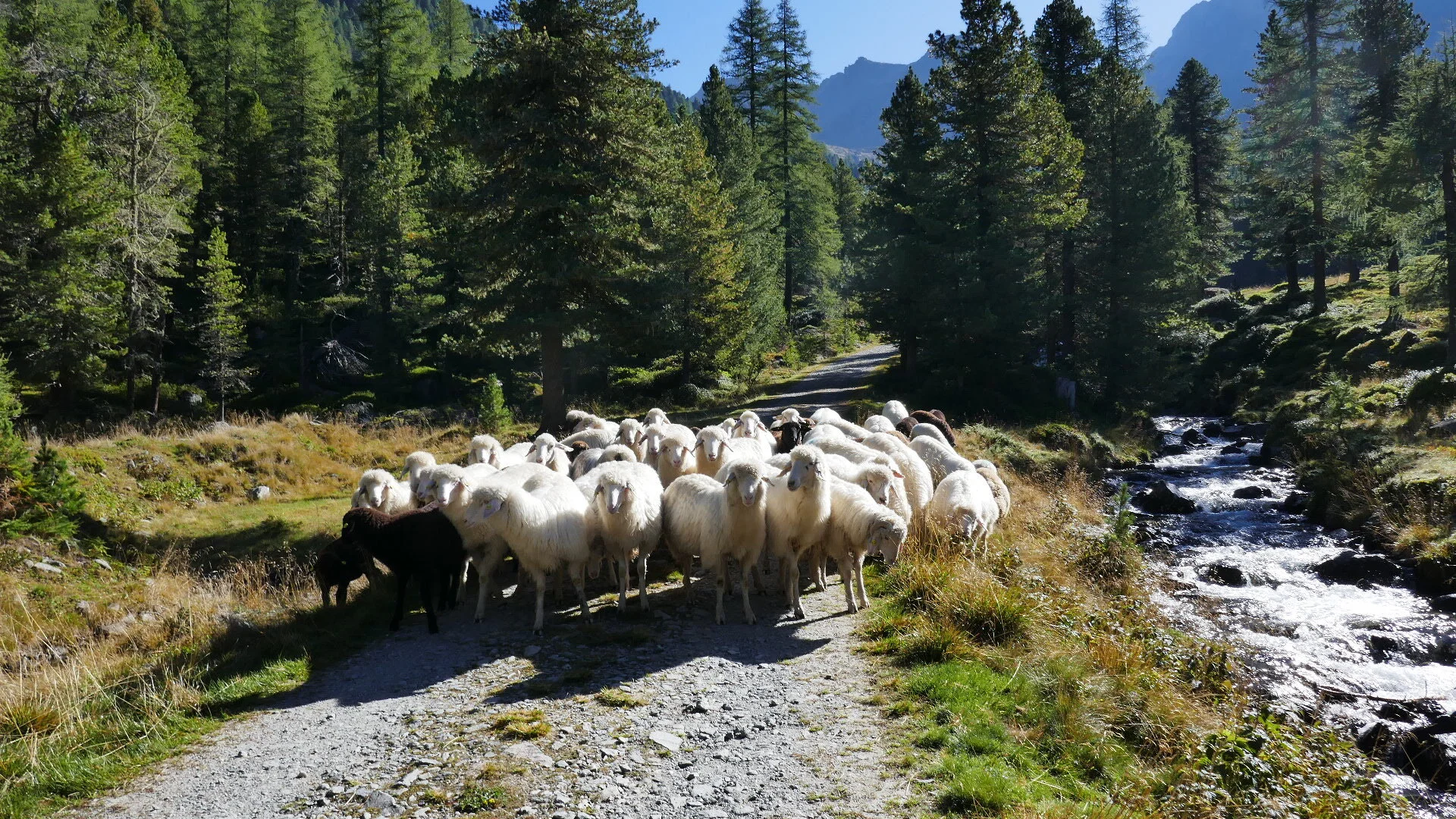 © DAV Teisendorf OG Waging -  Zustieg