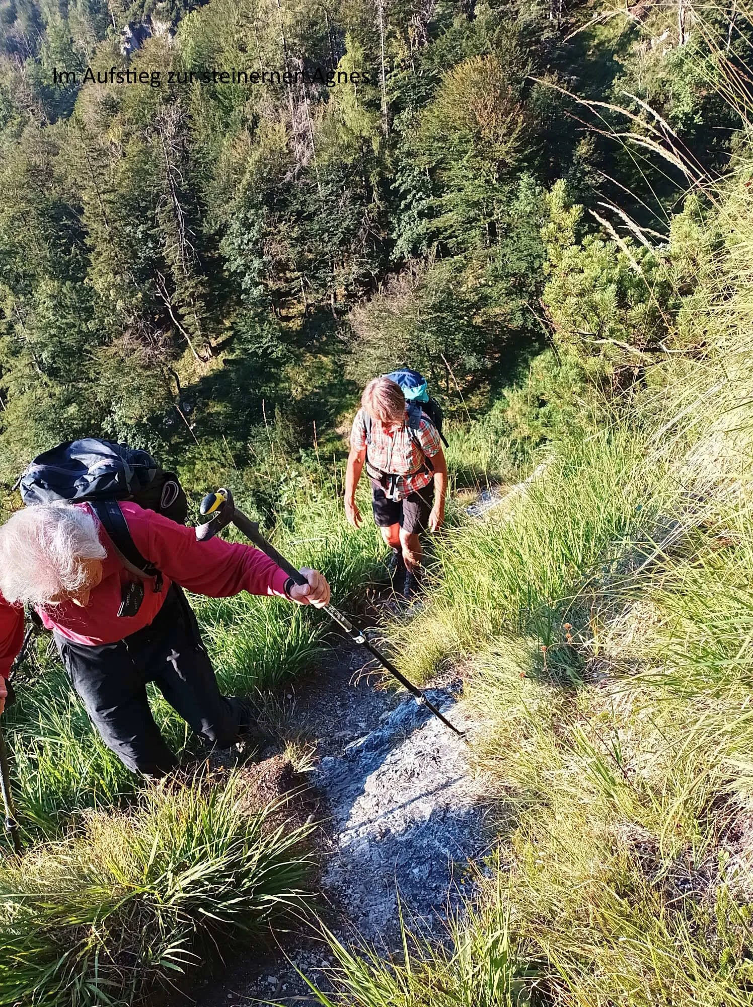 © DAV  Teisendorf OG Waging