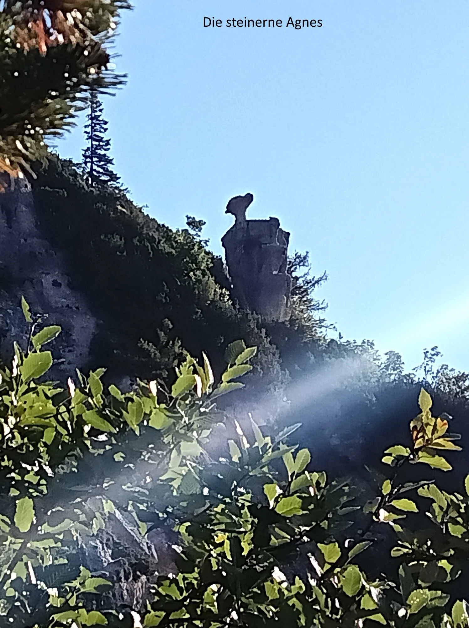 © DAV  Teisendorf OG Waging