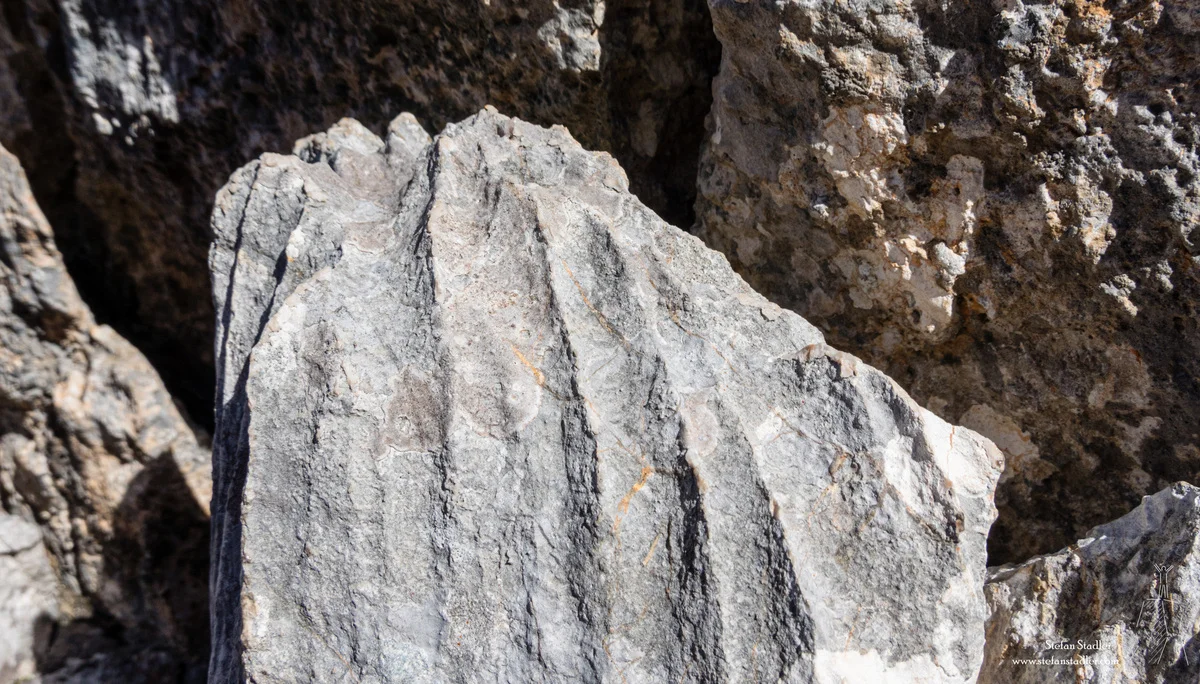 © DAV Teisendorf - Fels der begeistert