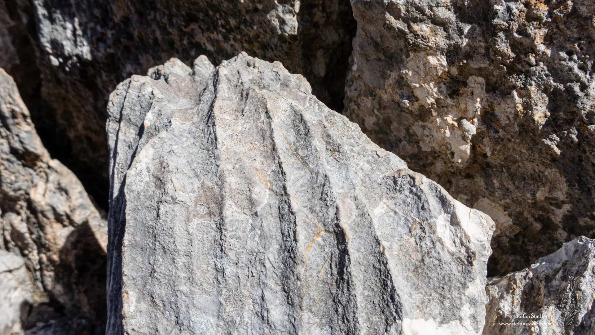 © DAV Teisendorf - Fels der begeistert