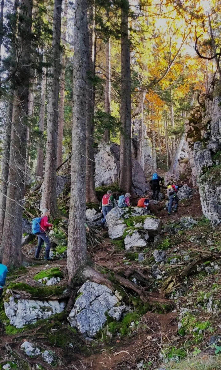 © DAV Teisendorf - OG Waging - Im Felslabyrinth