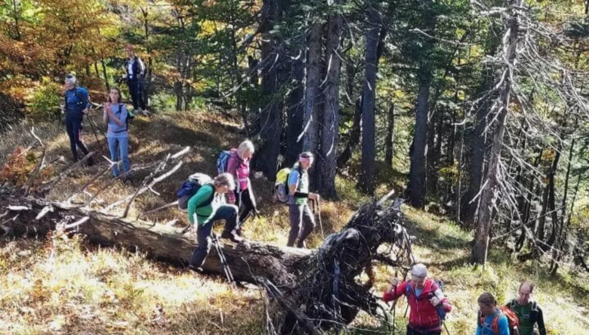 © DAV Teisendorf - OG Waging - Am Rechenbergkamm