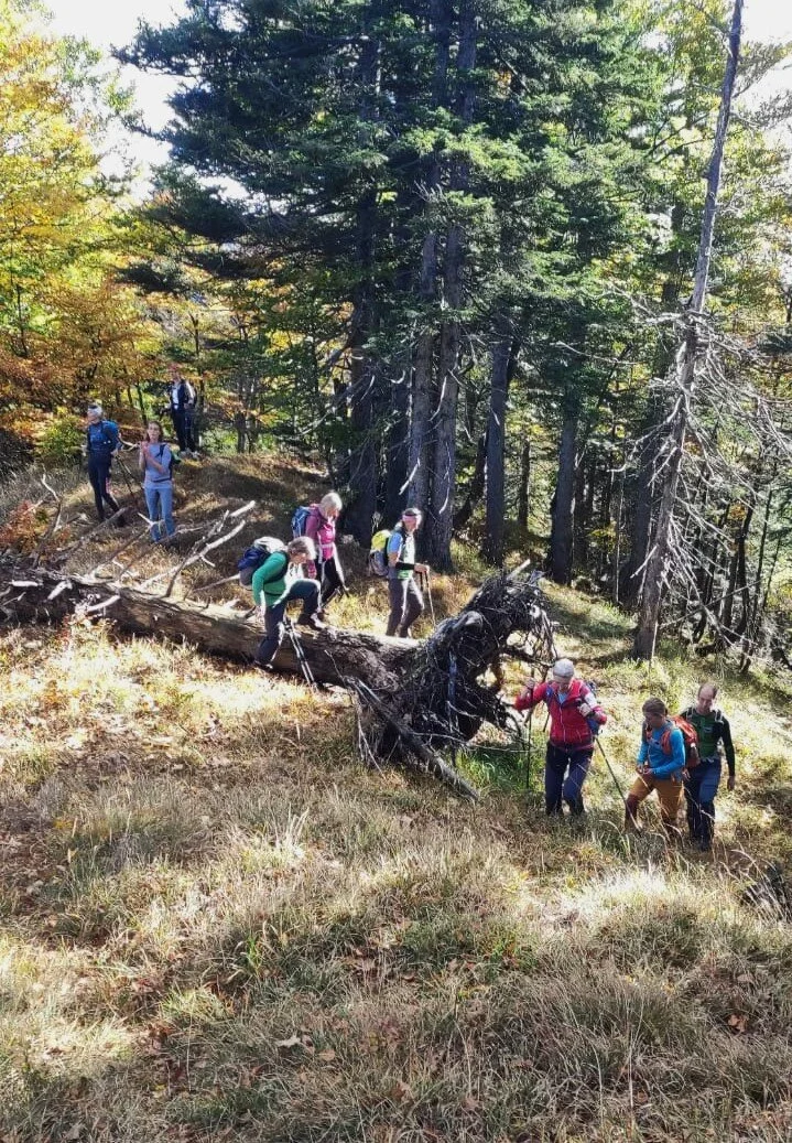 © DAV Teisendorf - OG Waging - Am Rechenbergkamm