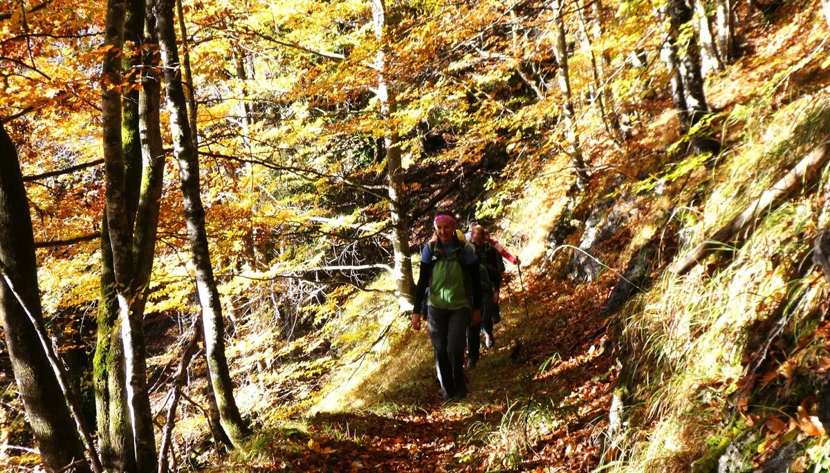 © DAV Teisendorf - OG Waging - Start in den goldenen Herbsttag