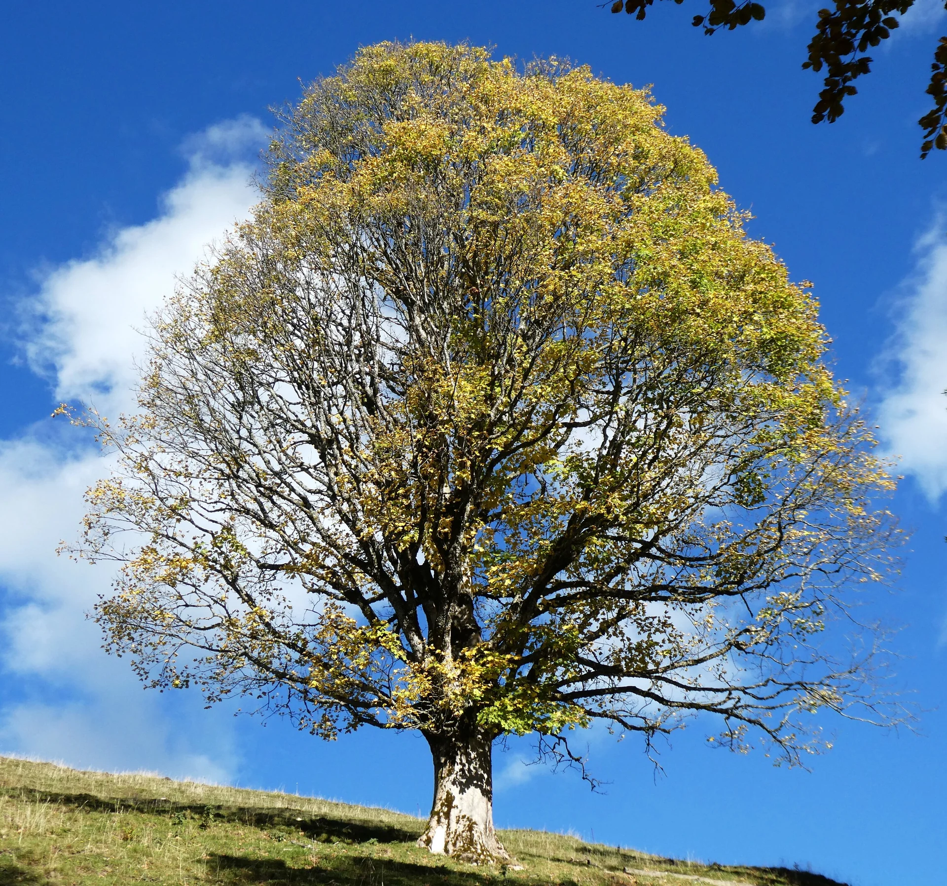 © DAV Teisendorf - OG Waging - Kunstwerk der Natur