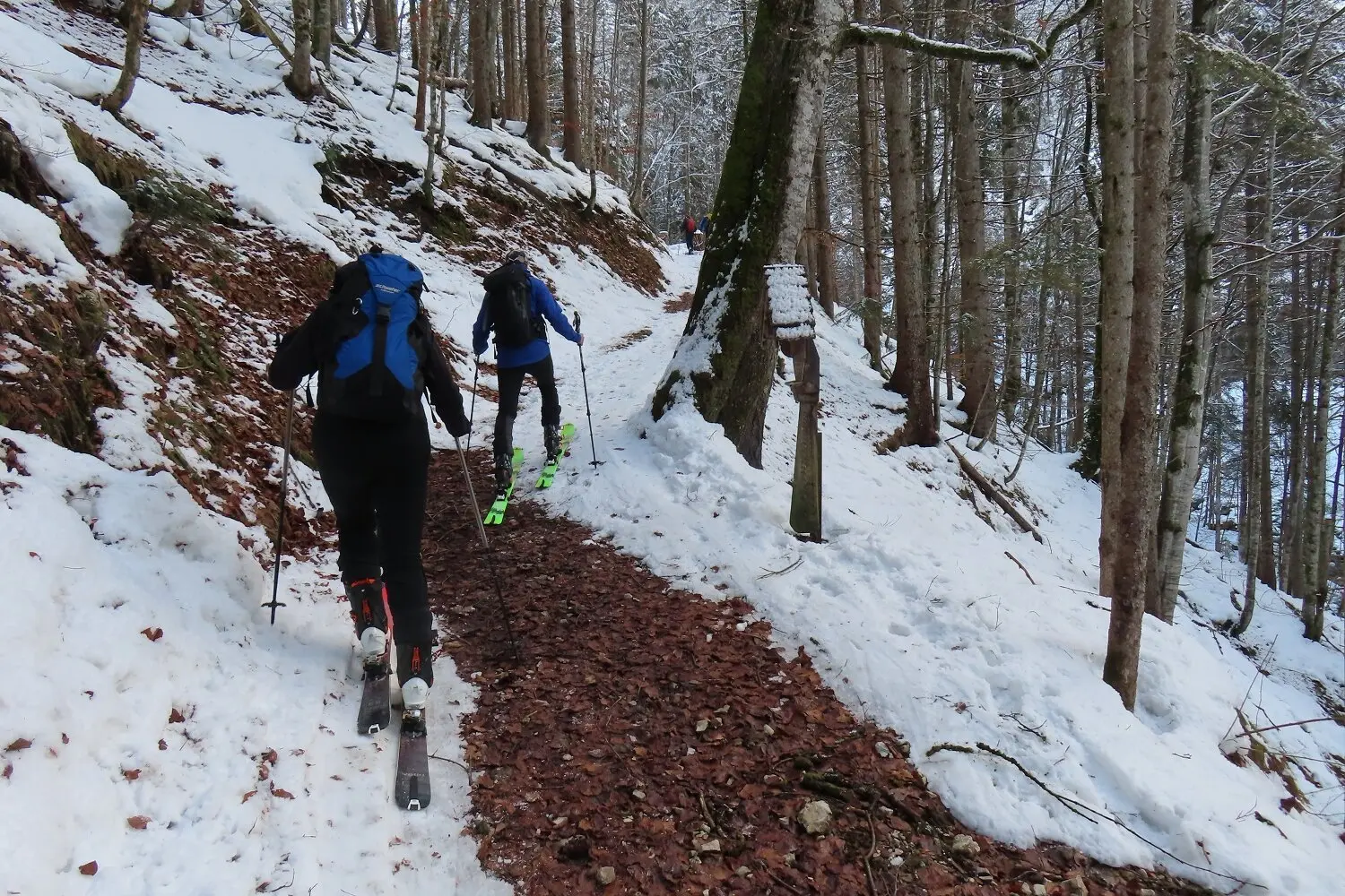 © DAV Teisendorf / OG Waging