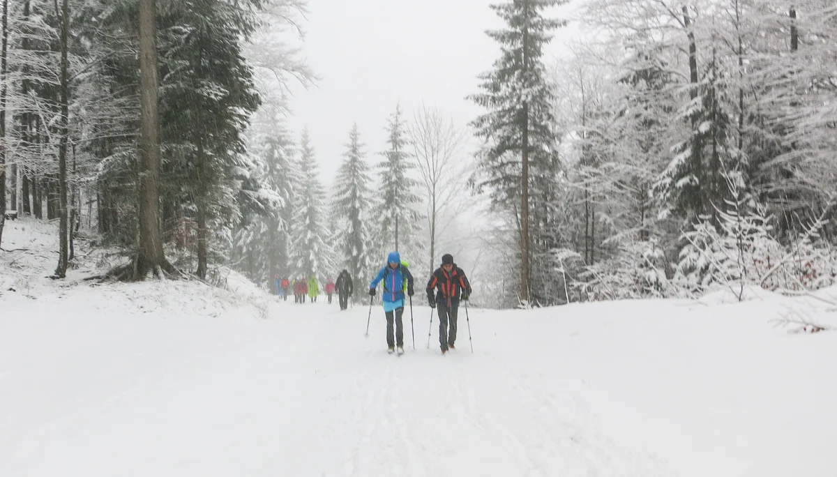 © DAV Teisendorf / OG Waging