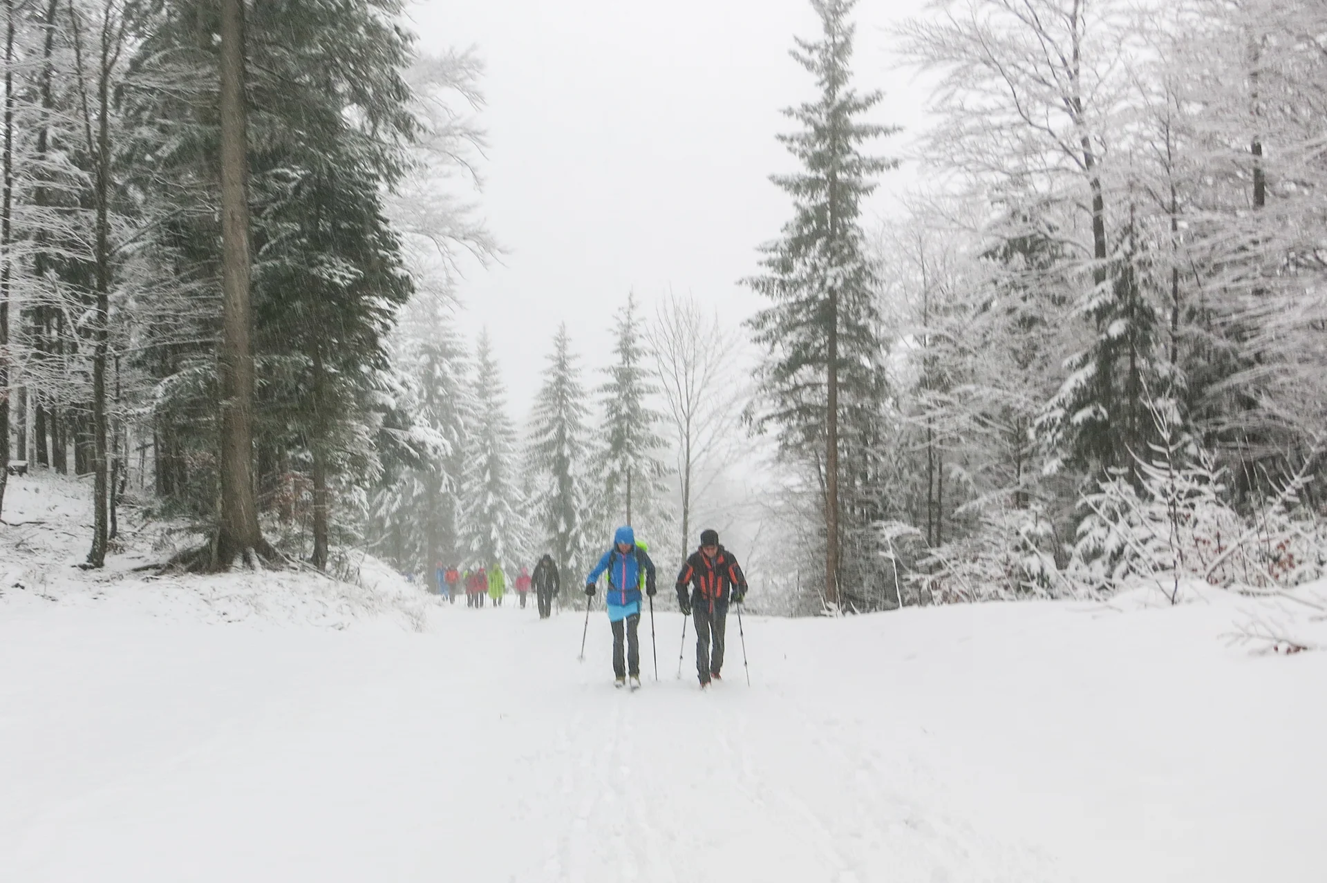 © DAV Teisendorf / OG Waging